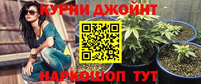 дживик Бийск