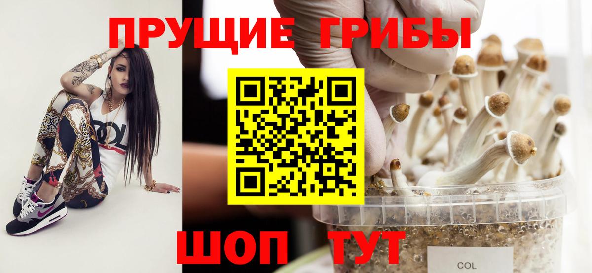 Псилоцибиновые грибы GOLDEN TEACHER  Вход с VPN  Псилоцибиновые грибы MAGIC MUSHROOMS  Бузулук 